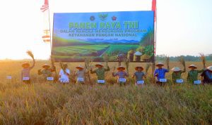 IMG-20260718-WA0005